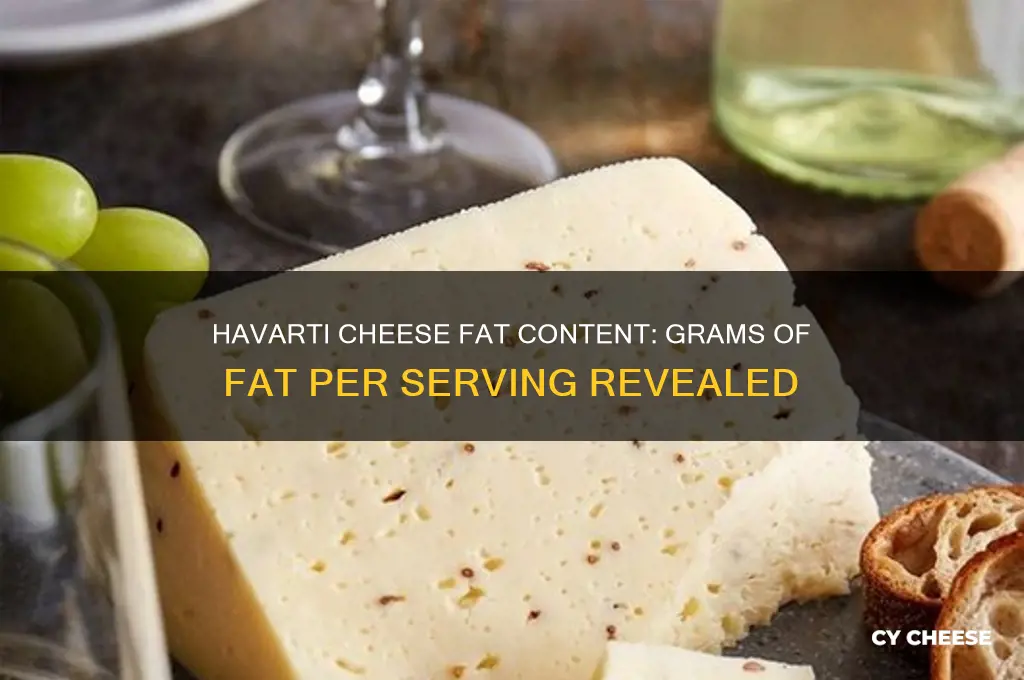how many grams of fat in havarti cheese