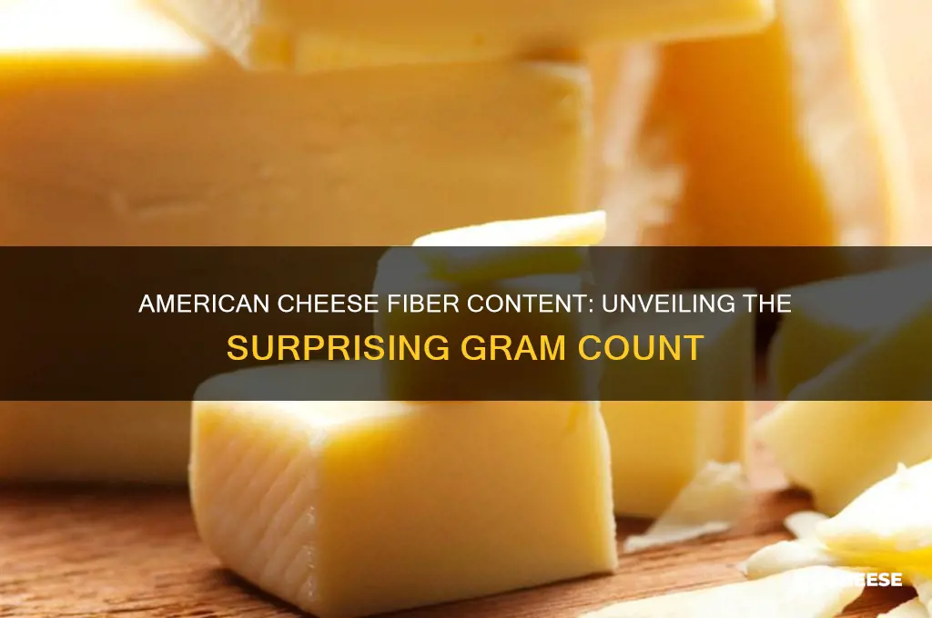 how many grams of fiber in american cheese