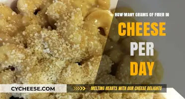 Daily Fiber Intake: How Much Fiber Does Cheese Provide?