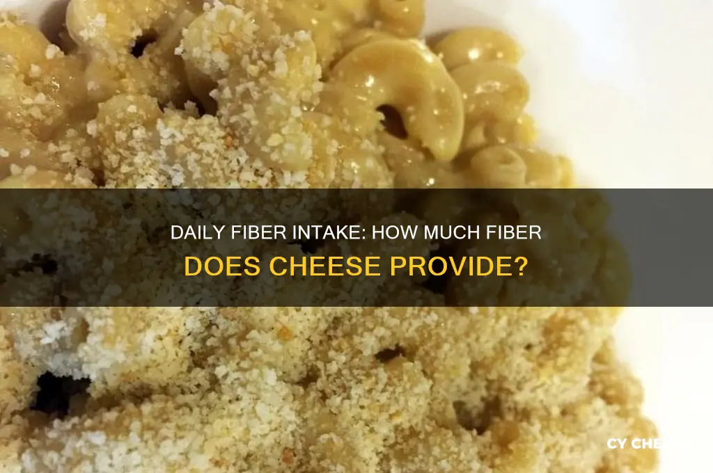 how many grams of fiber in cheese per day
