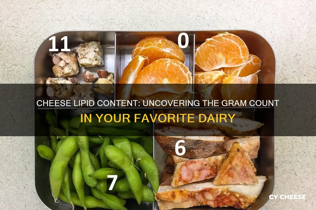 how many grams of lipids are in cheese