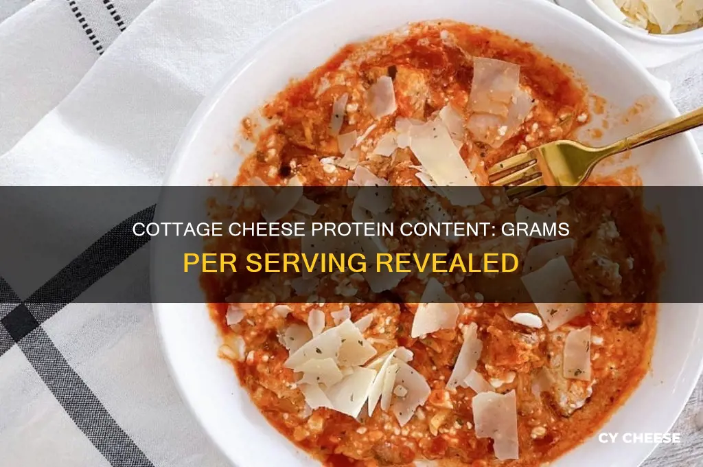 how many grams of portein in cottage cheese