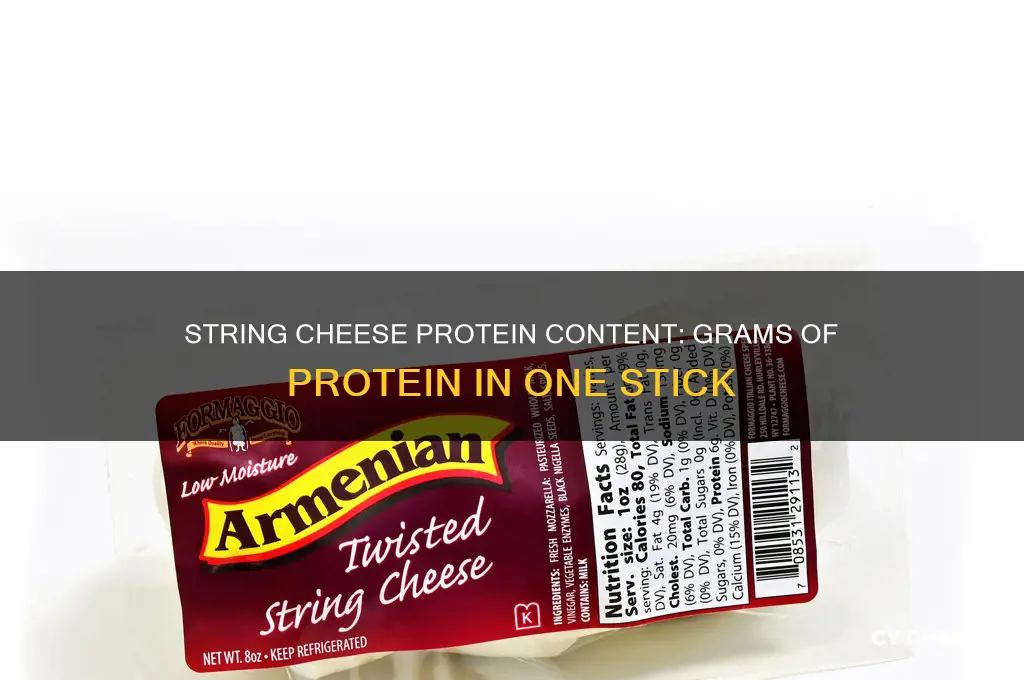 how many grams of protein are in string cheese
