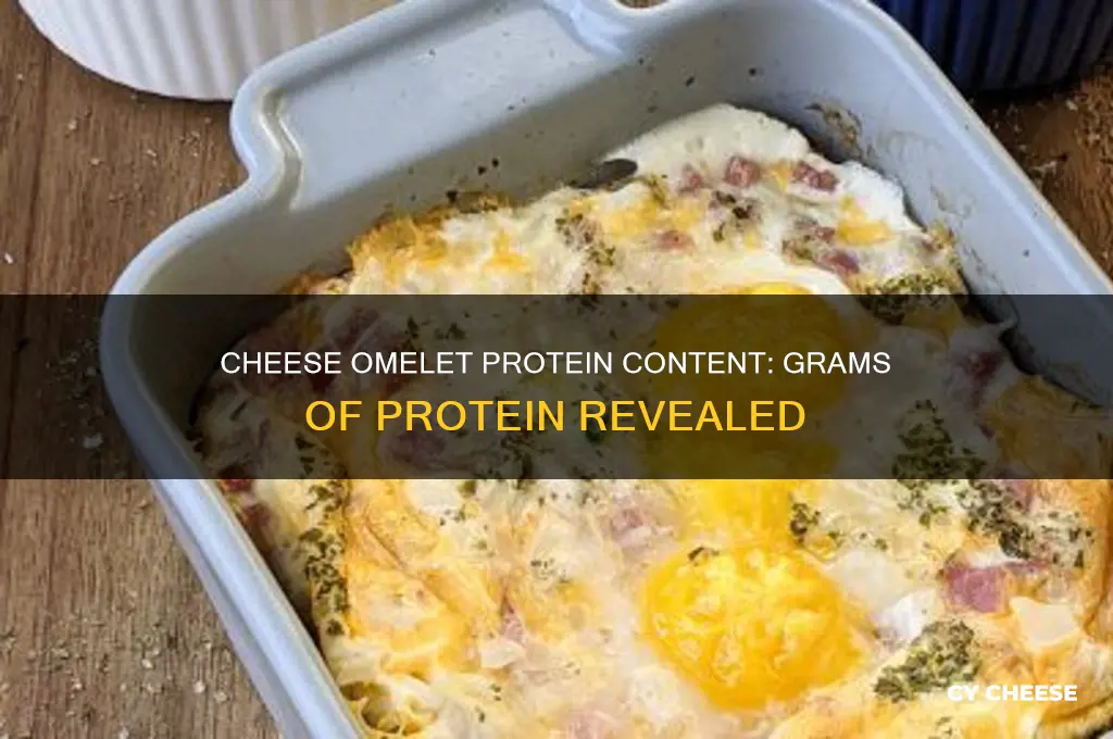 how many grams of protein does a cheese omlet have
