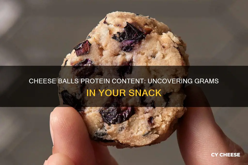 how many grams of protein does cheese balls have