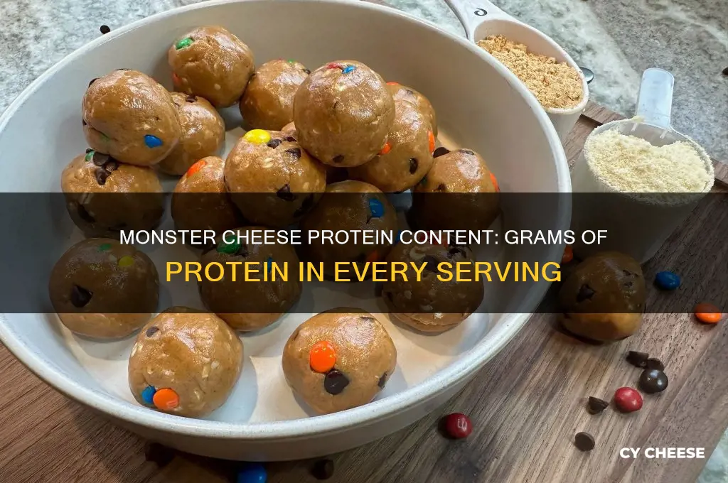 how many grams of protein does mounstur cheese have