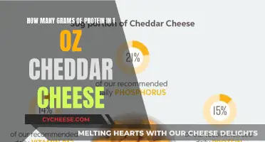 Cheddar Cheese: Protein Power in Every Bite