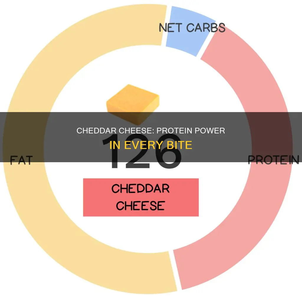 how many grams of protein in 1 oz cheddar cheese