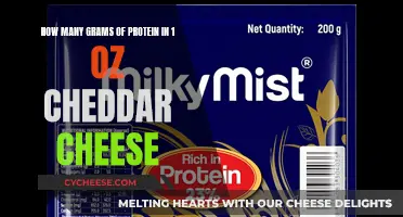 Protein Power: Cheddar Cheese's Surprising Gram Count