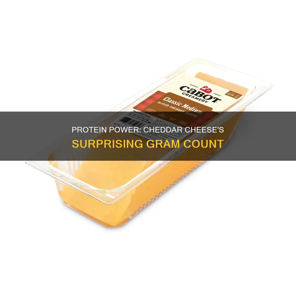 how many grams of protein in 1 oz cheddar cheese