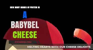 Protein in Babybel Cheese: Uncovering the Nutritional Value