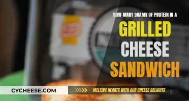 Protein in a Grilled Cheese: How Much?