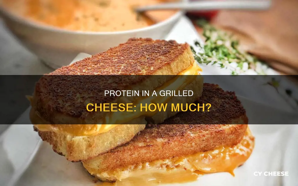 how many grams of protein in a grilled cheese sandwich
