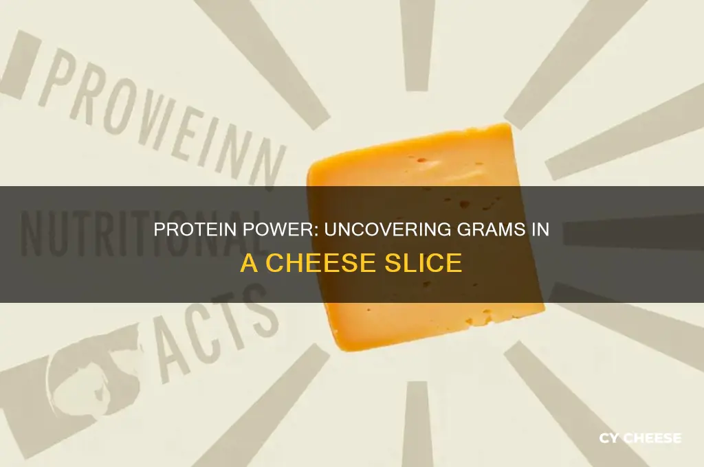 how many grams of protein in a slice of cheese