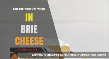 Brie Cheese Protein Content: Grams of Protein in Brie Revealed