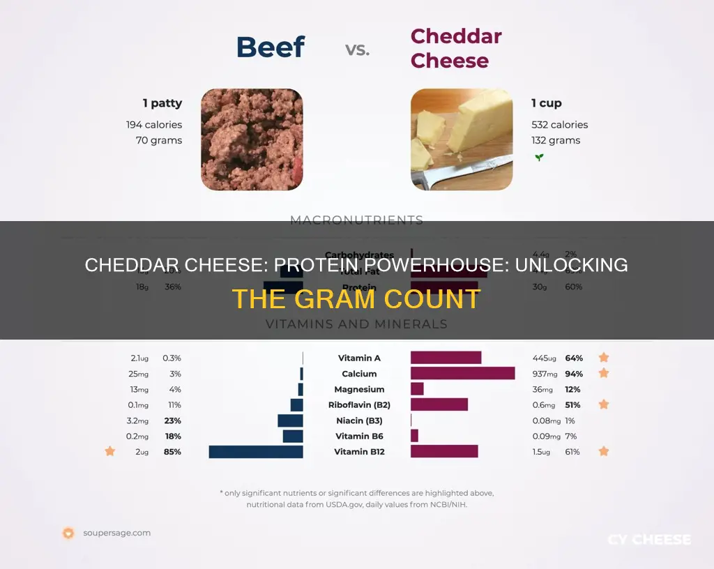 how many grams of protein in cheddar cheese