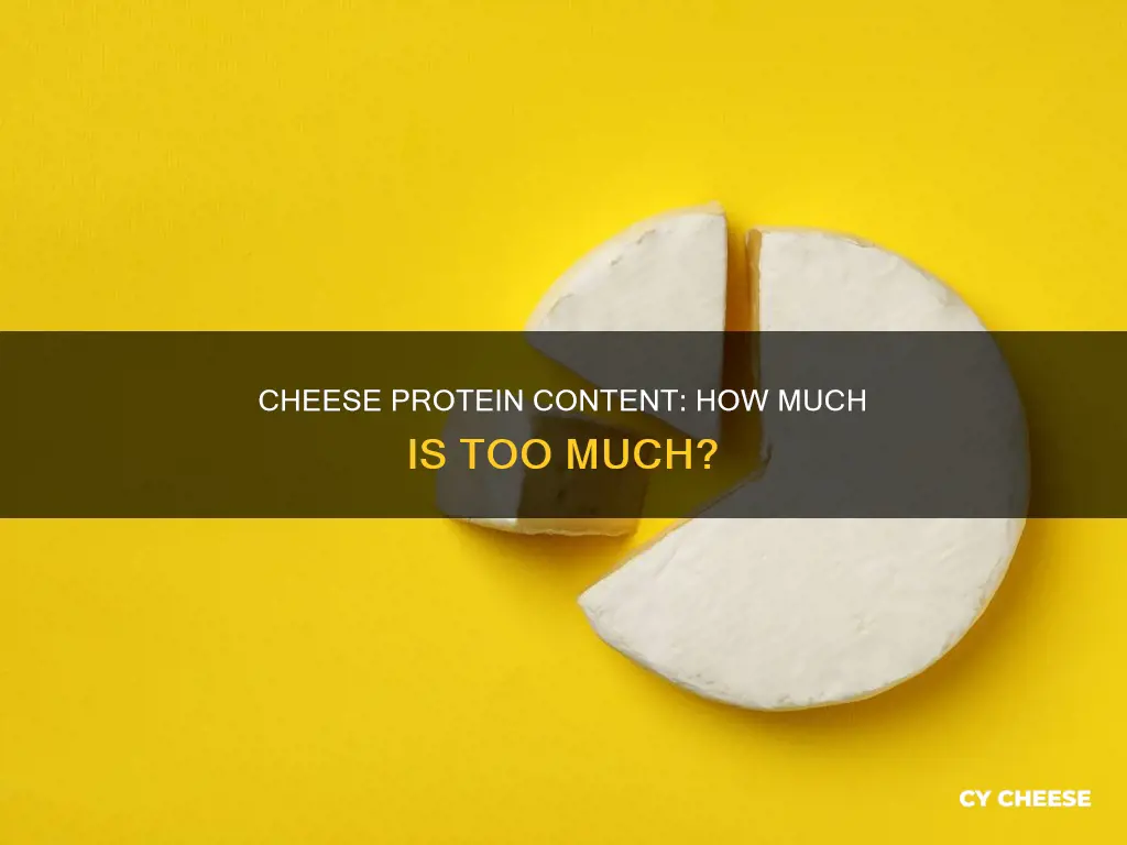 how many grams of protein in cup of cheese