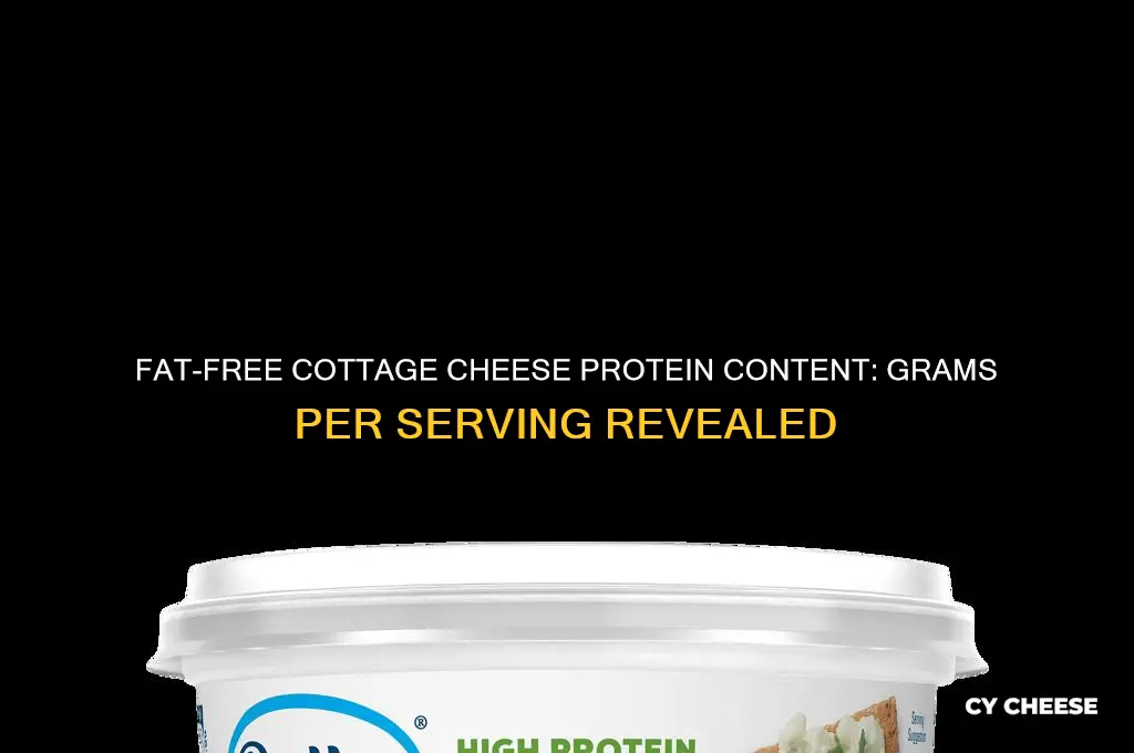 how many grams of protein in fat free cottage cheese