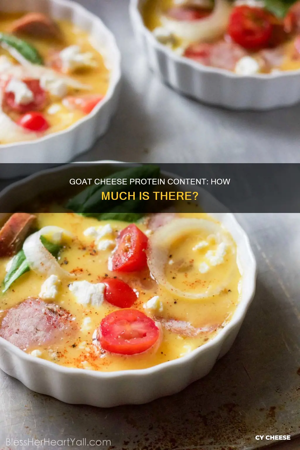 how many grams of protein in goat cheese