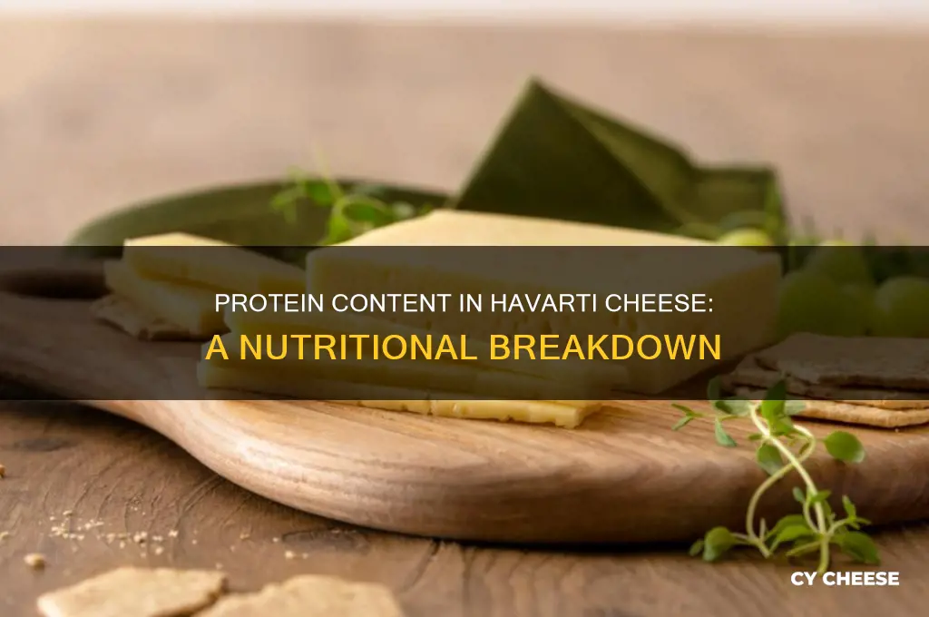 how many grams of protein in havarti cheese