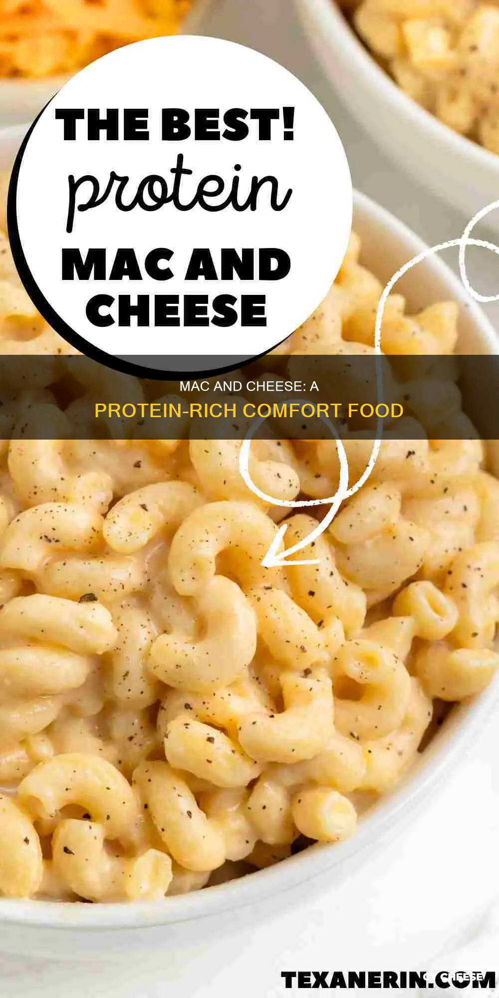 how many grams of protein in macaroni and cheese