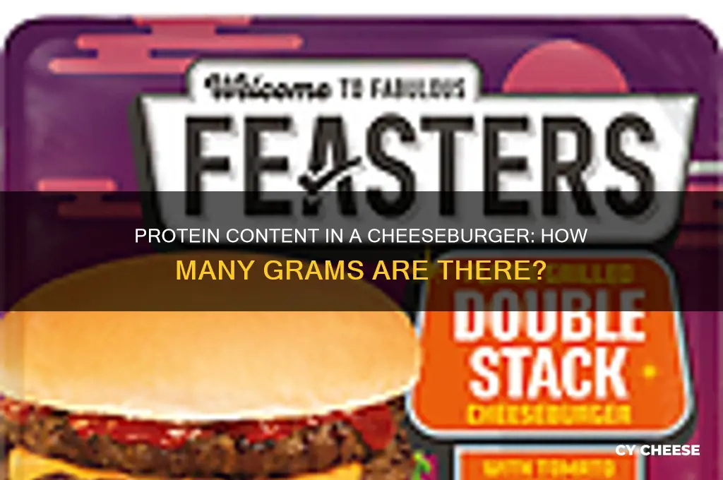 how many grams of protein in one cheese burger