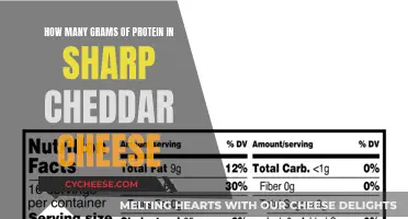 Chunky Cheddar: Protein Power in Every Bite