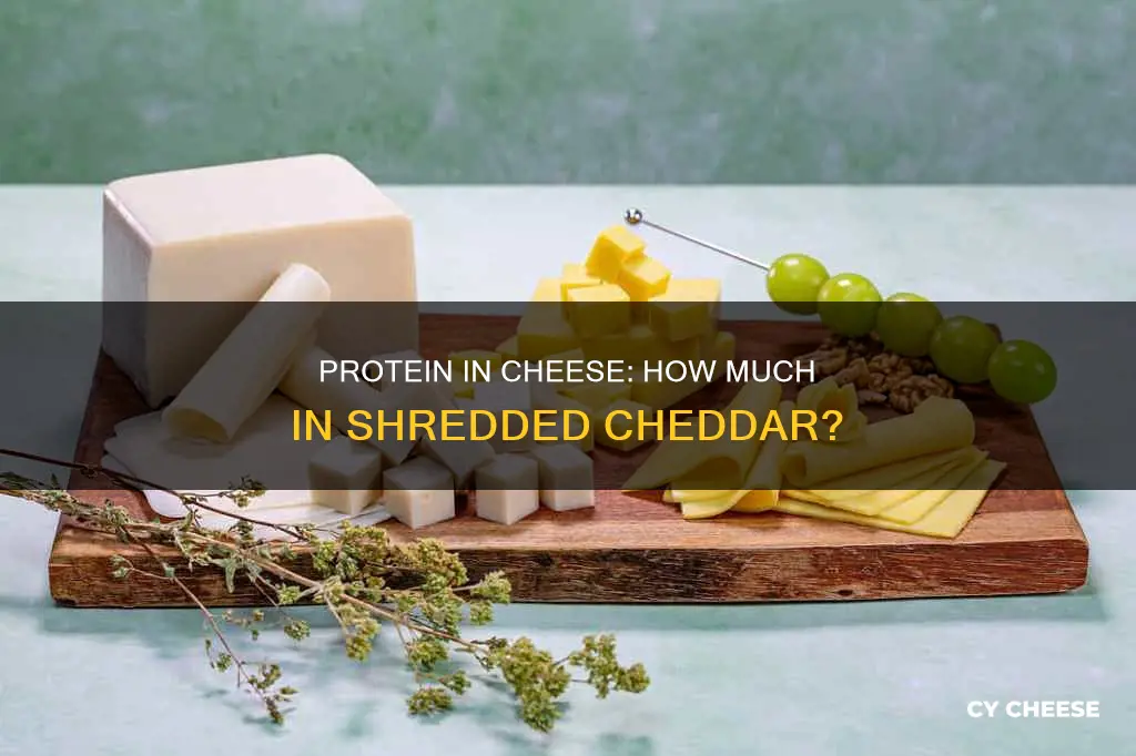 how many grams of protein in shredded cheddar cheese