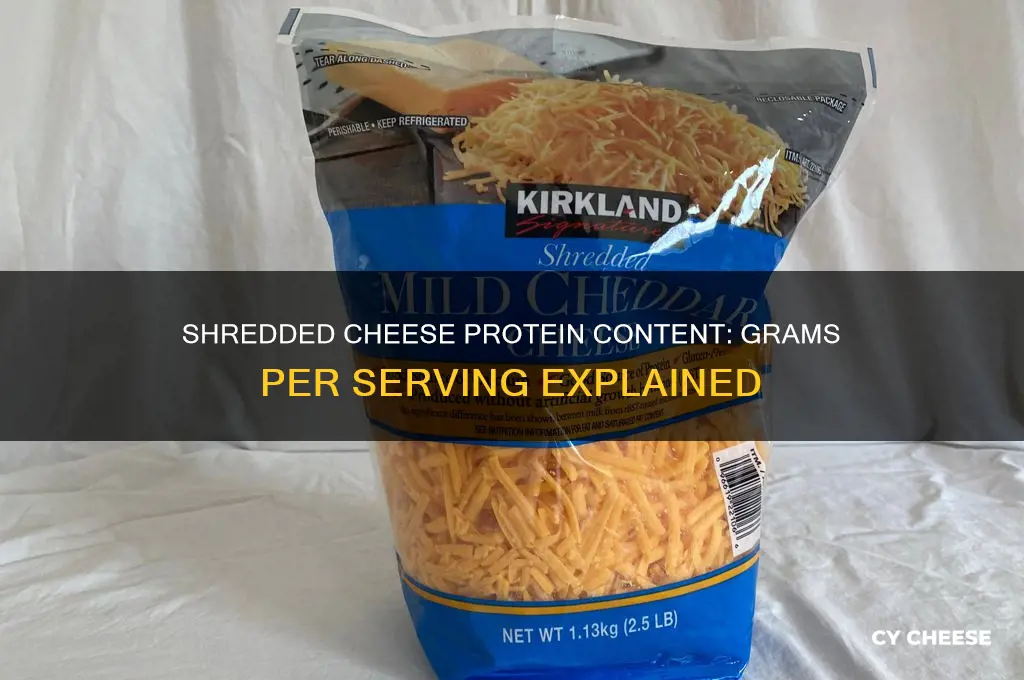 how many grams of protein in shredded cheese