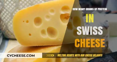 Protein Power: Swiss Cheese's Surprising Protein Punch