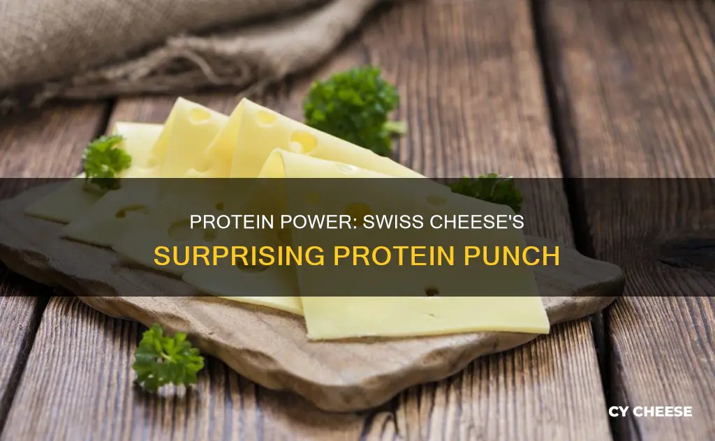 how many grams of protein in swiss cheese