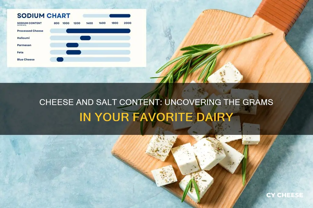 how many grams of salt does cheese have