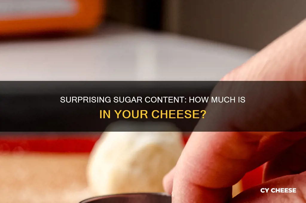how many grams of sugar in a cheese