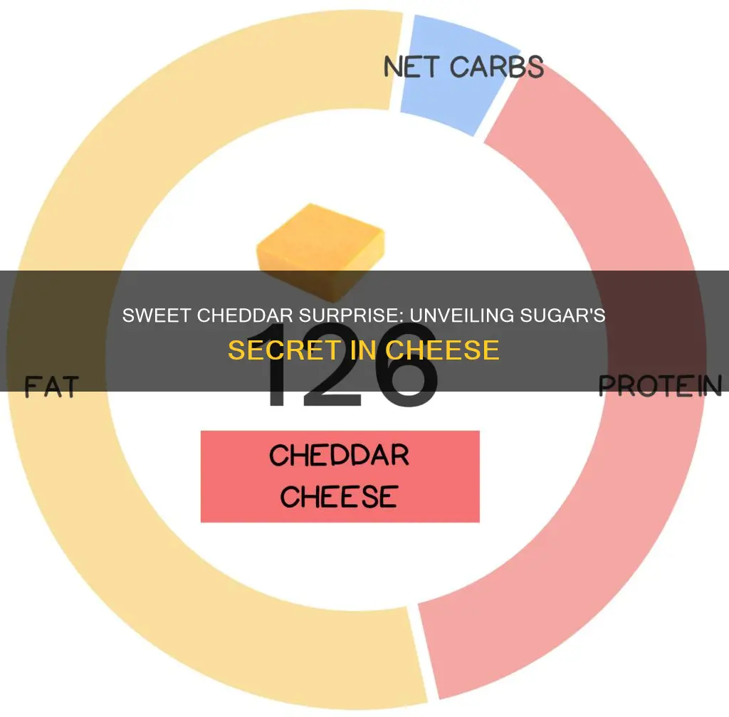 how many grams of sugar in cheddar cheese