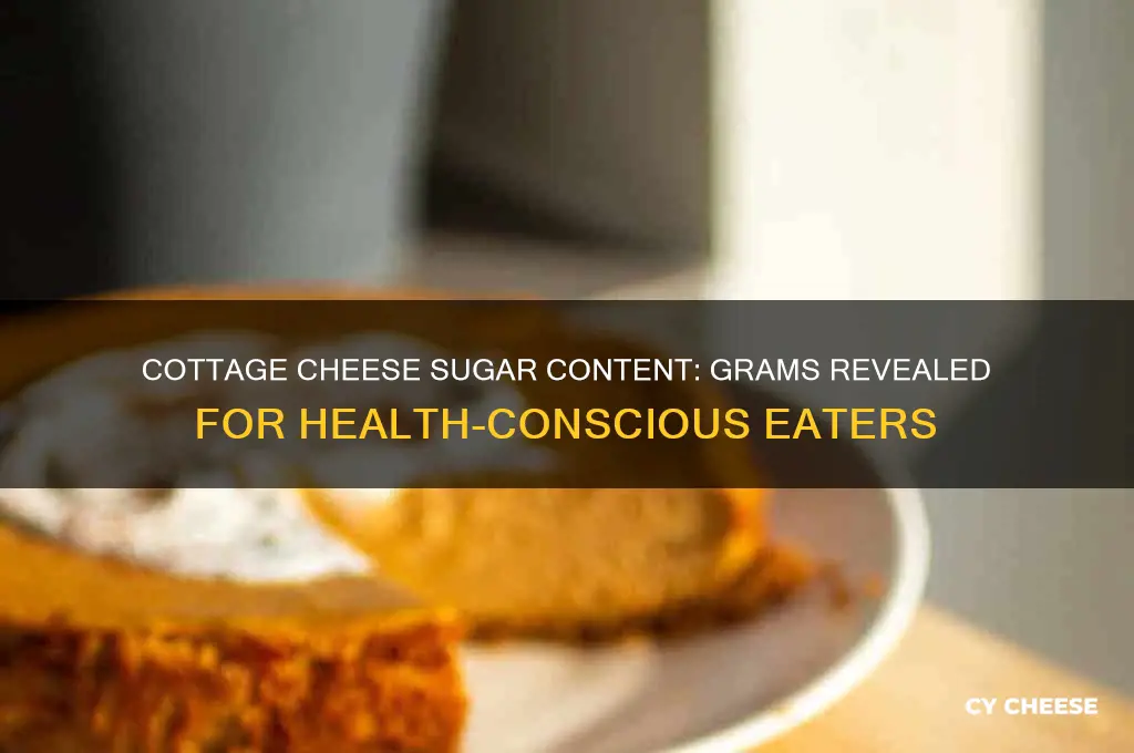 how many grams of sugar in cottage cheese
