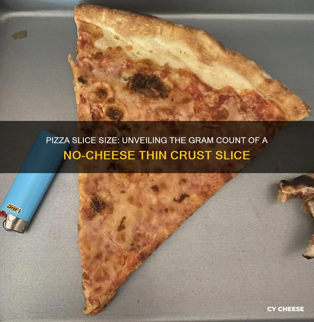 how many grams one slice no cheese thin crust pizza