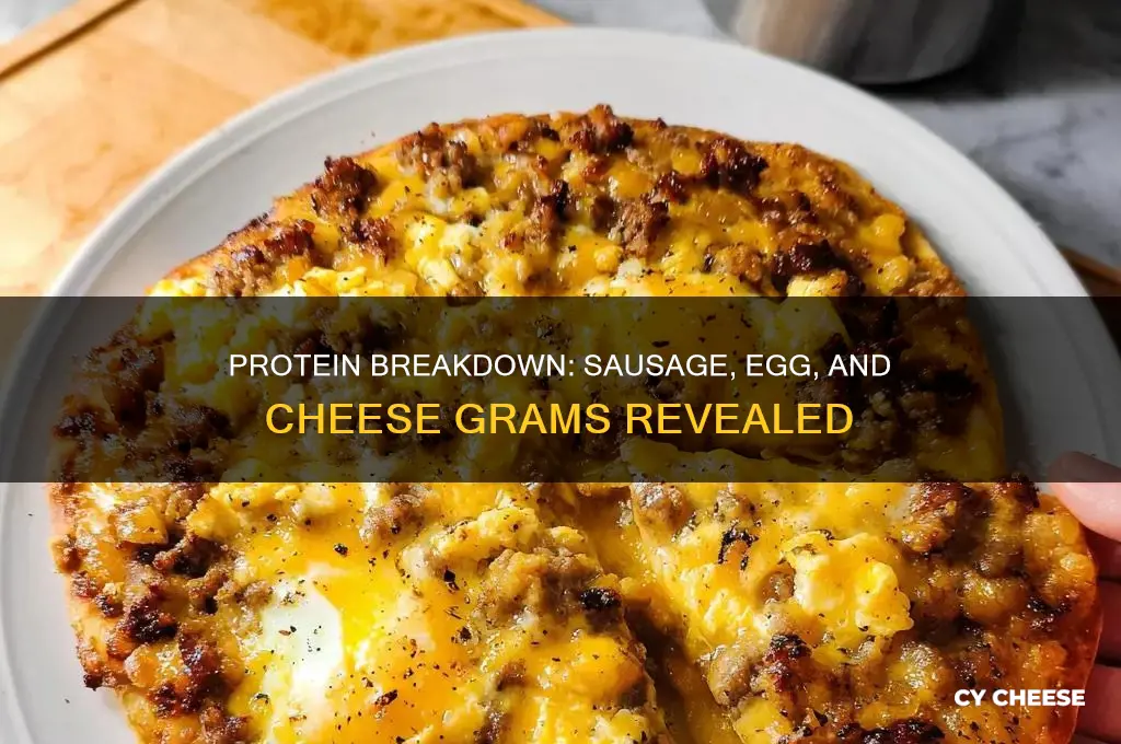 how many grams protein in sausage egg and cheese