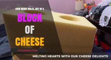 Exploring the Surprising Number of Holes in a Block of Cheese