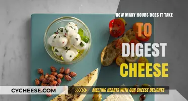 Understanding Cheese Digestion: Timeframe and Factors Affecting the Process