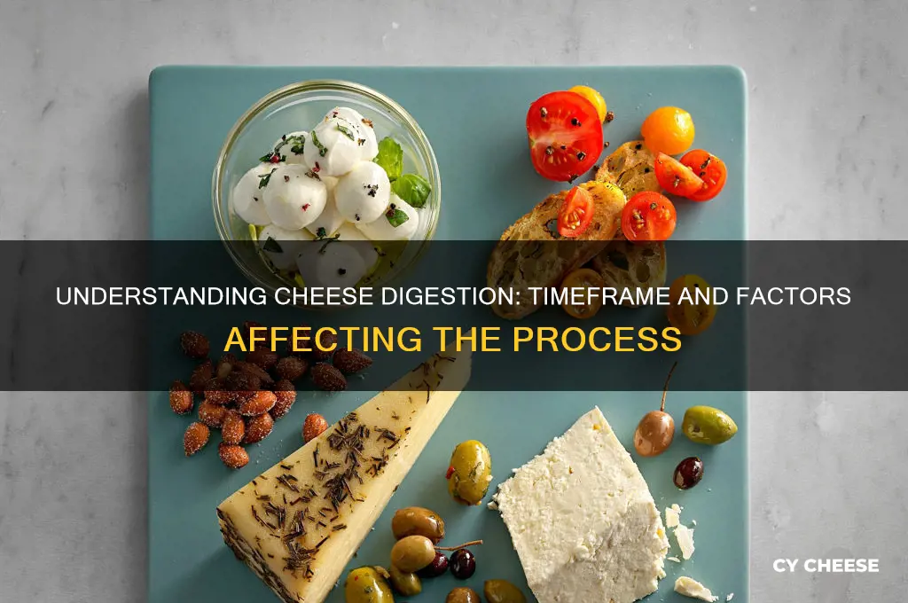 how many hours does it take to digest cheese