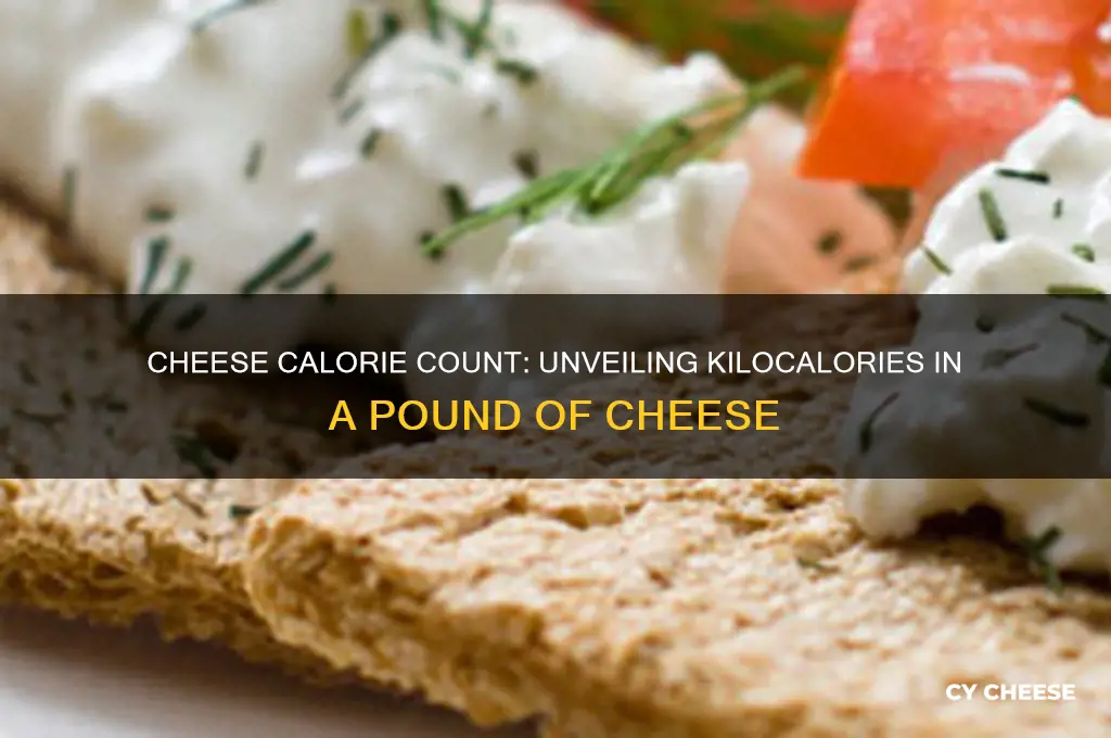 how many kilocalories in a lb of cheese