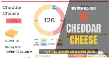 Cheddar Cheese: Unlocking the Energy in Every Bite