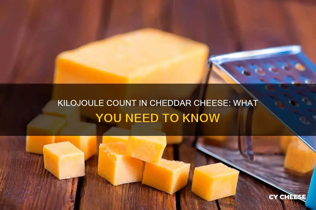 how many kilojoules in cheddar cheese