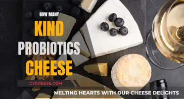 Probiotic Cheeses: A Wide Variety of Healthy Options