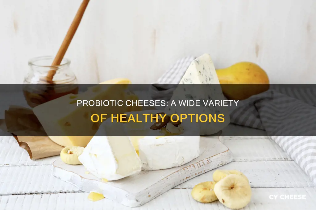 how many kind probiotics cheese