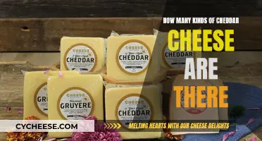 The Cheddar Cheese Family: How Big Is It?