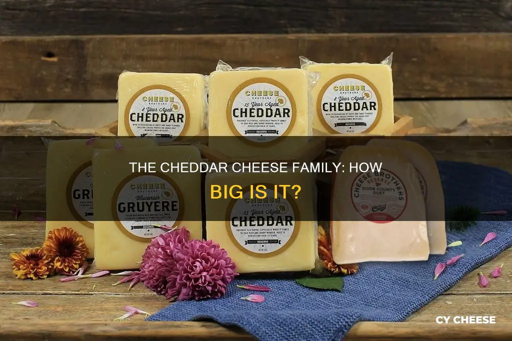 how many kinds of cheddar cheese are there