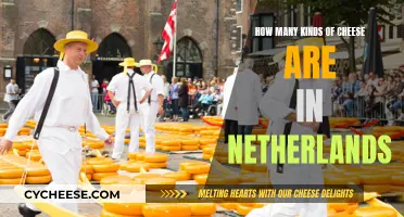 Cheese Exploration: The Dutch Way