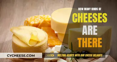 Cheese Varieties: A Comprehensive Guide to Deliciousness