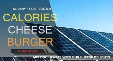 Cheeseburger Calories: Unlocking the KJ Mystery